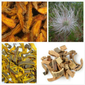 复方白头翁提取物