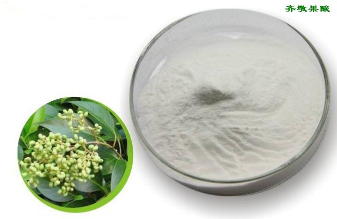 齐墩果酸