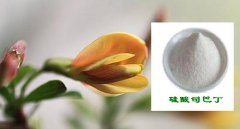 硫酸司巴丁，五水硫酸司巴丁