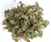 <b>淫羊藿提取物</b>