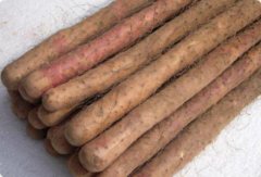 山药提取物（药食同源）