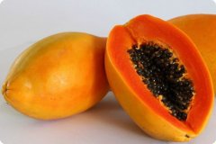 木瓜提取物（药食同源）