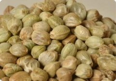 火麻仁提取物（药食同源）