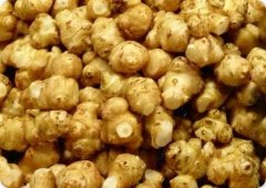 菊粉（新资源食品）