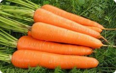 β-胡萝卜素（新资源食品）