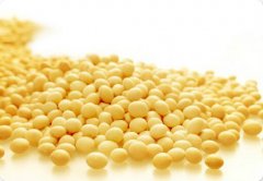 大豆多糖（膳食纤维）