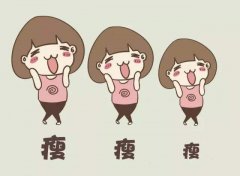 市场上主流减肥原料以及作