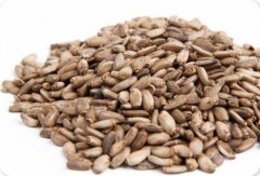 水飞蓟提取物水飞蓟宾