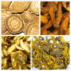 复方四黄提取物