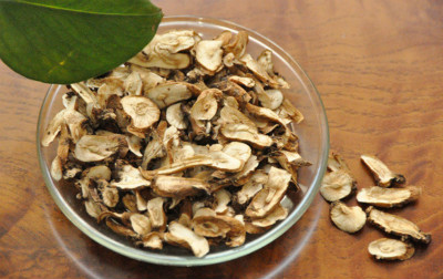 蒲公英根提取物