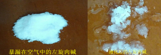 液化后的左旋肉碱,西安天宝生物提供。